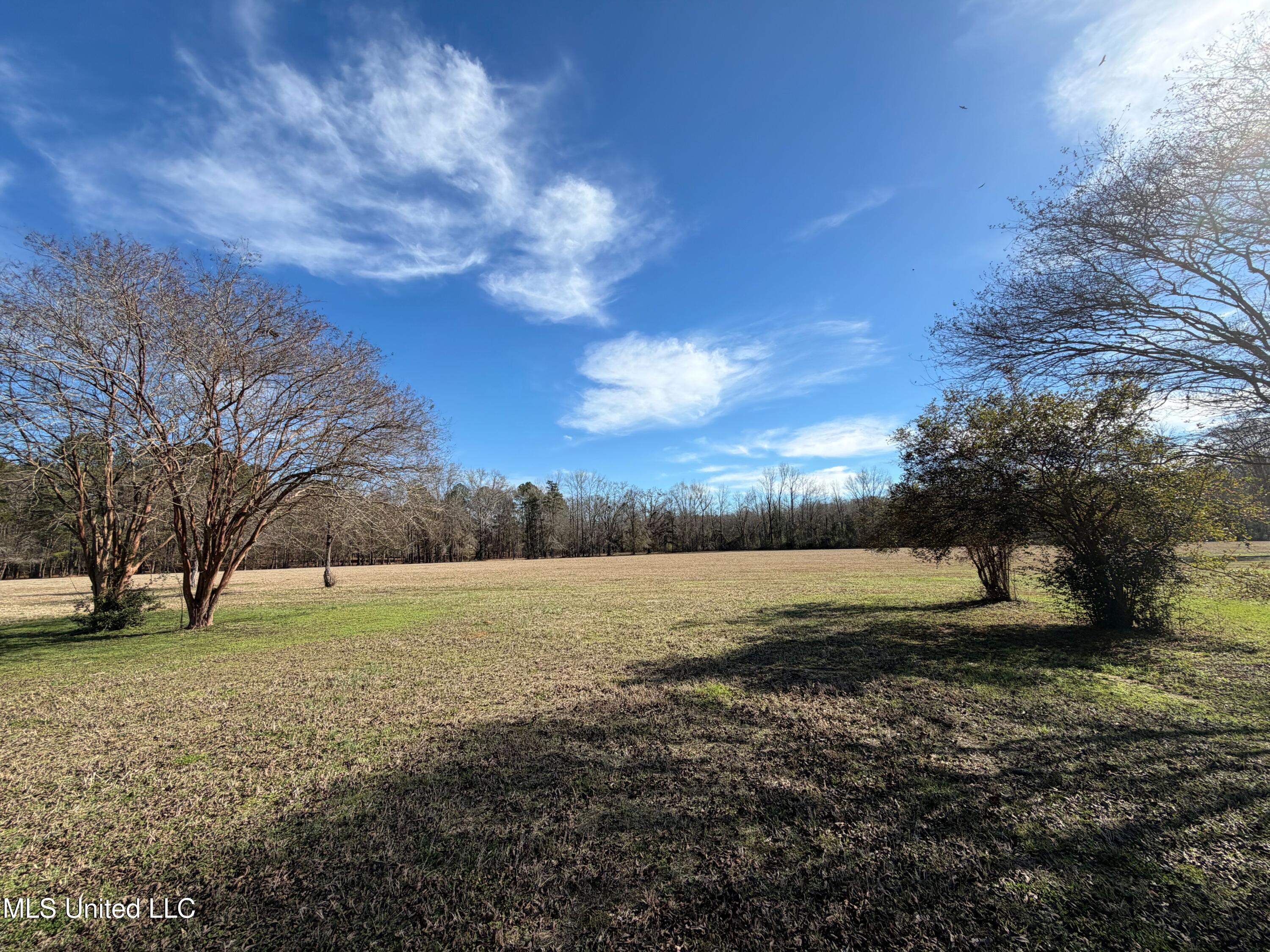 North Front Street Enterprise, MS 39330 - Photo 13 of 22 13