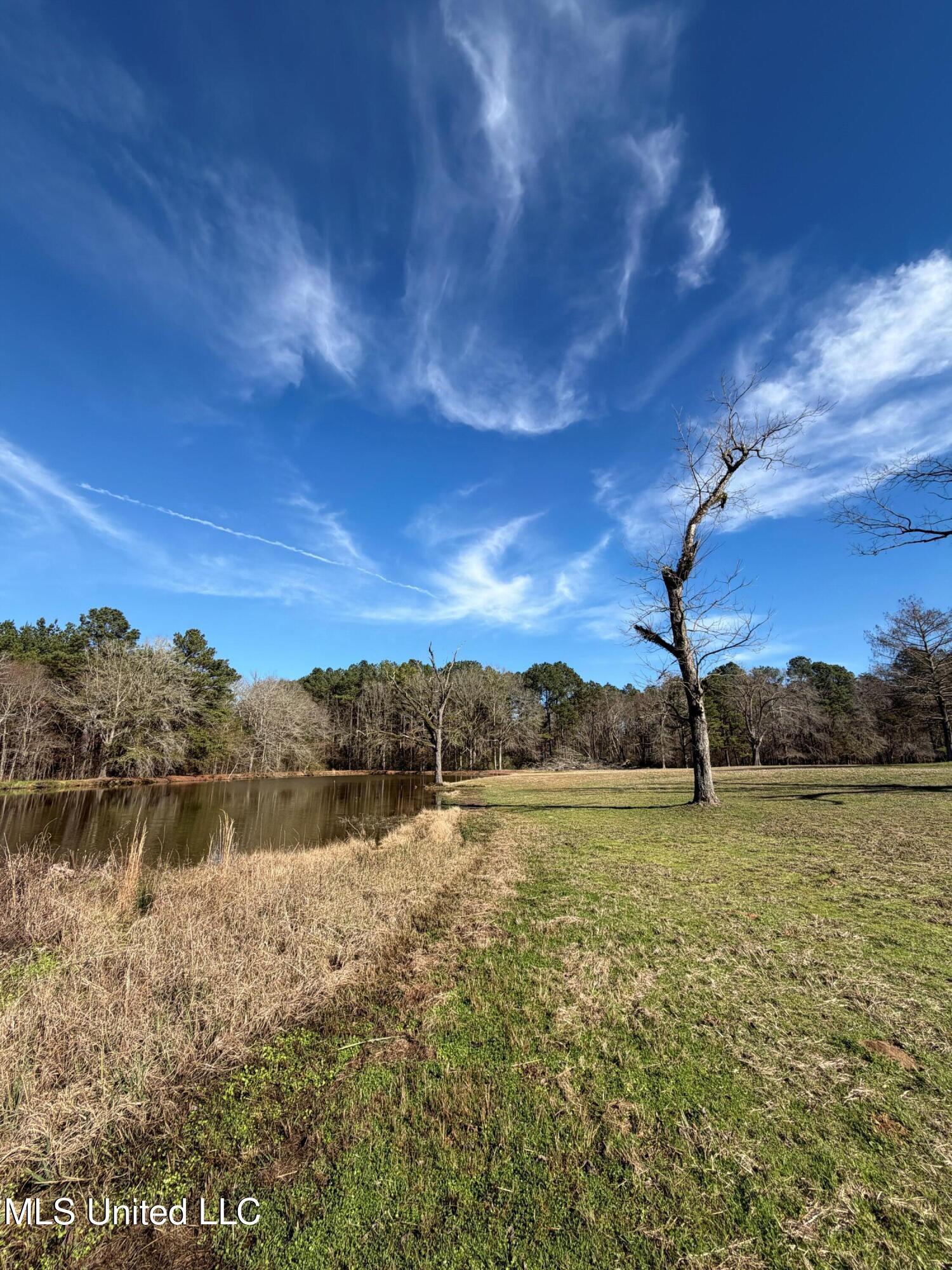 North Front Street Enterprise, MS 39330 - Photo 14 of 22 14