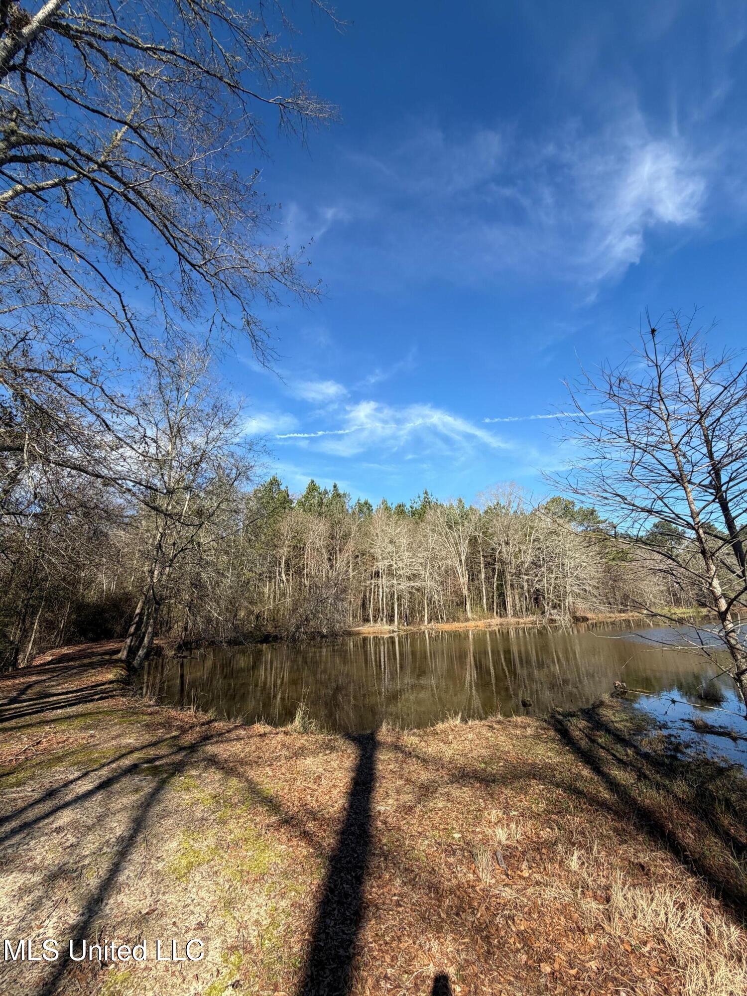 North Front Street Enterprise, MS 39330 - Photo 15 of 22 15