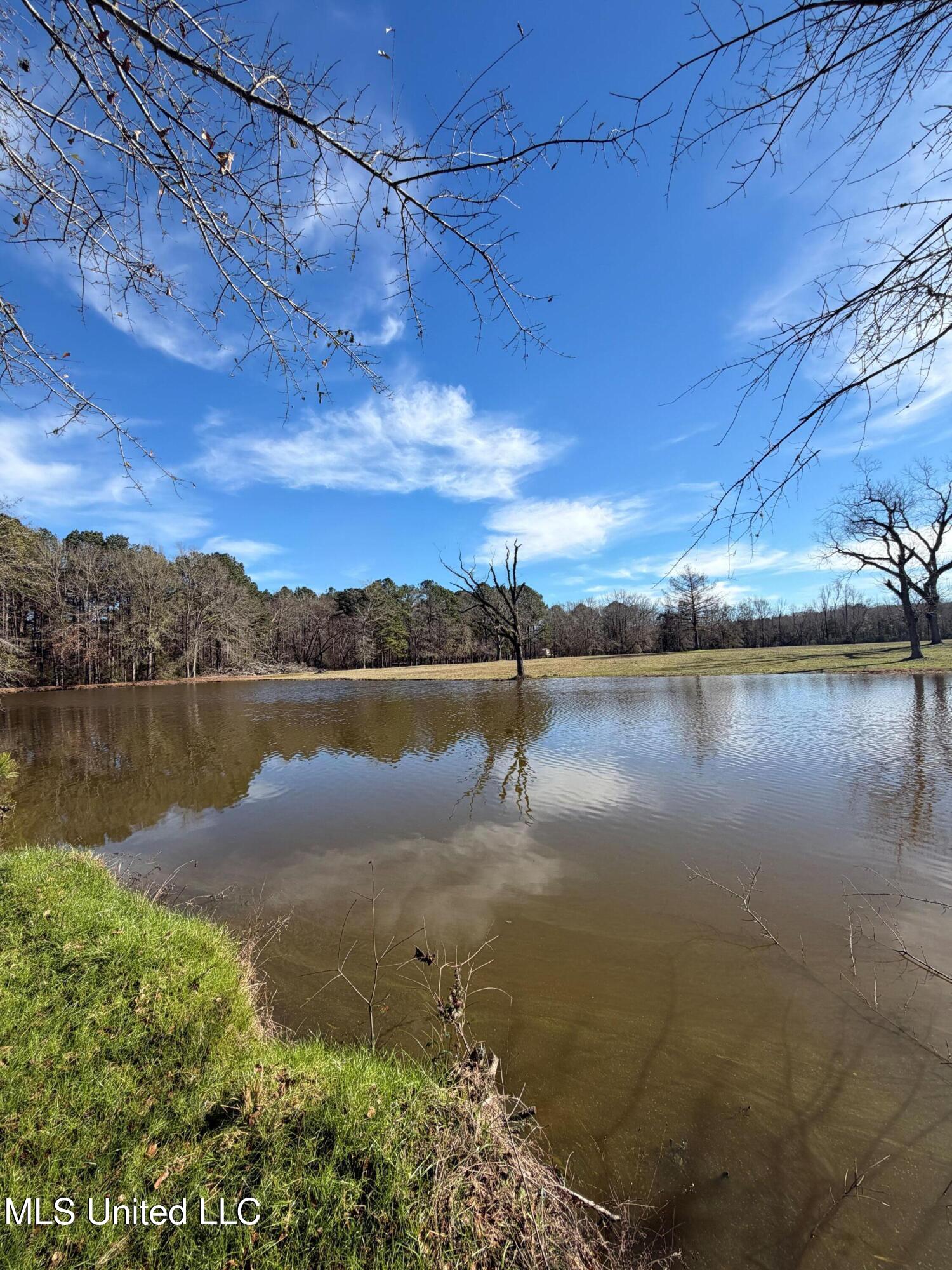 North Front Street Enterprise, MS 39330 - Photo 16 of 22 16
