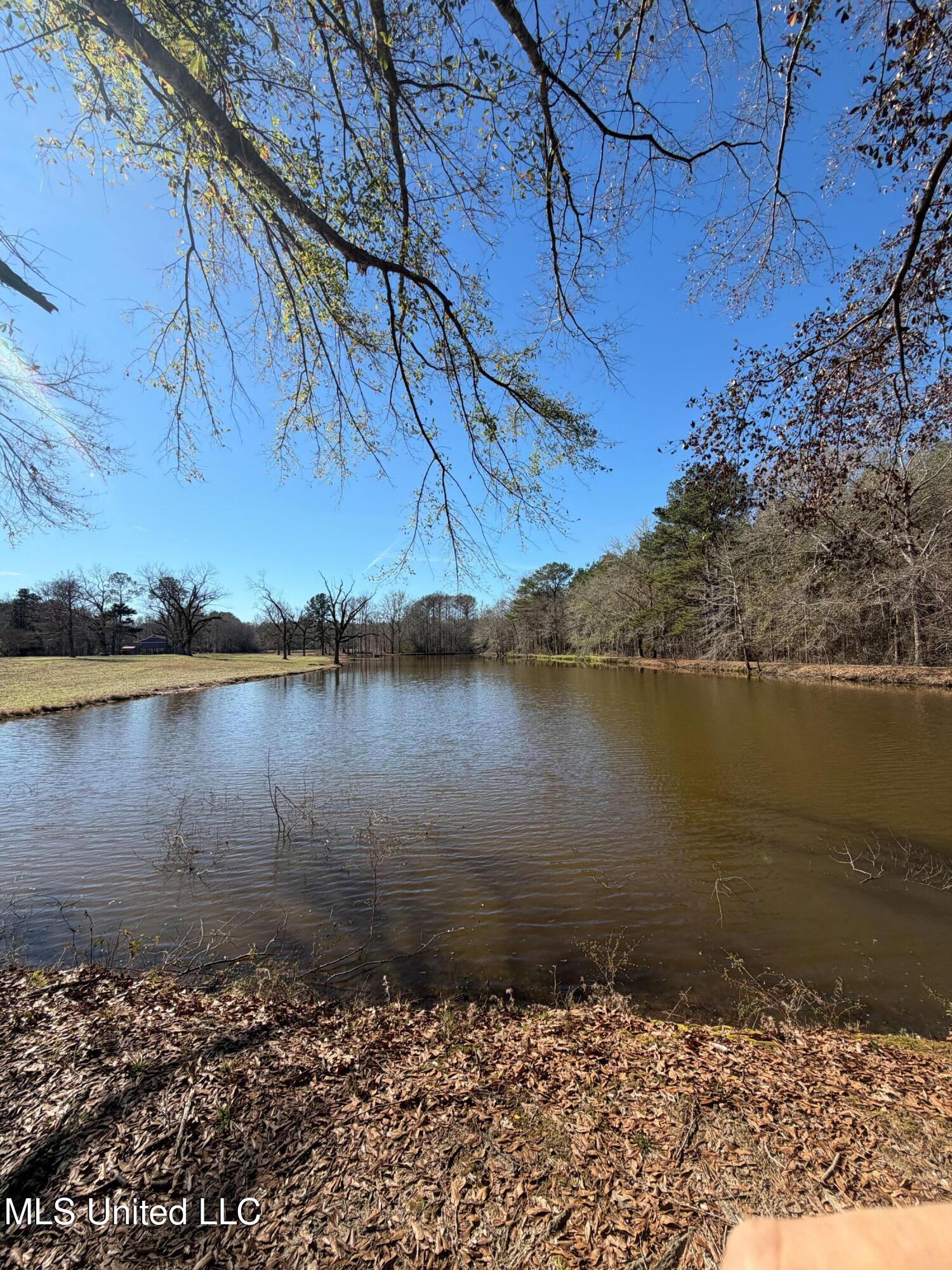 North Front Street Enterprise, MS 39330 - Photo 17 of 22 17
