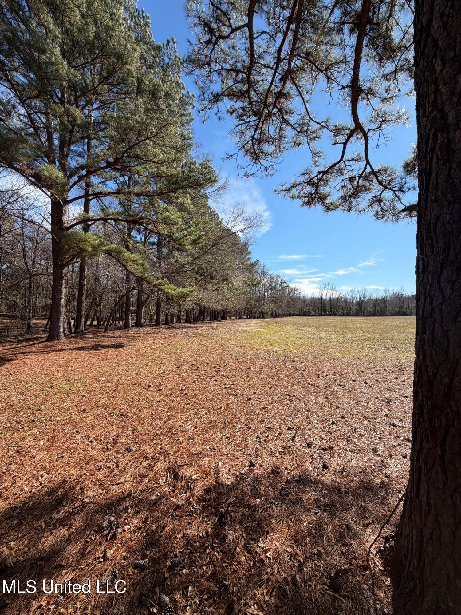 North Front Street Enterprise, MS 39330 - Photo 18 of 22 18
