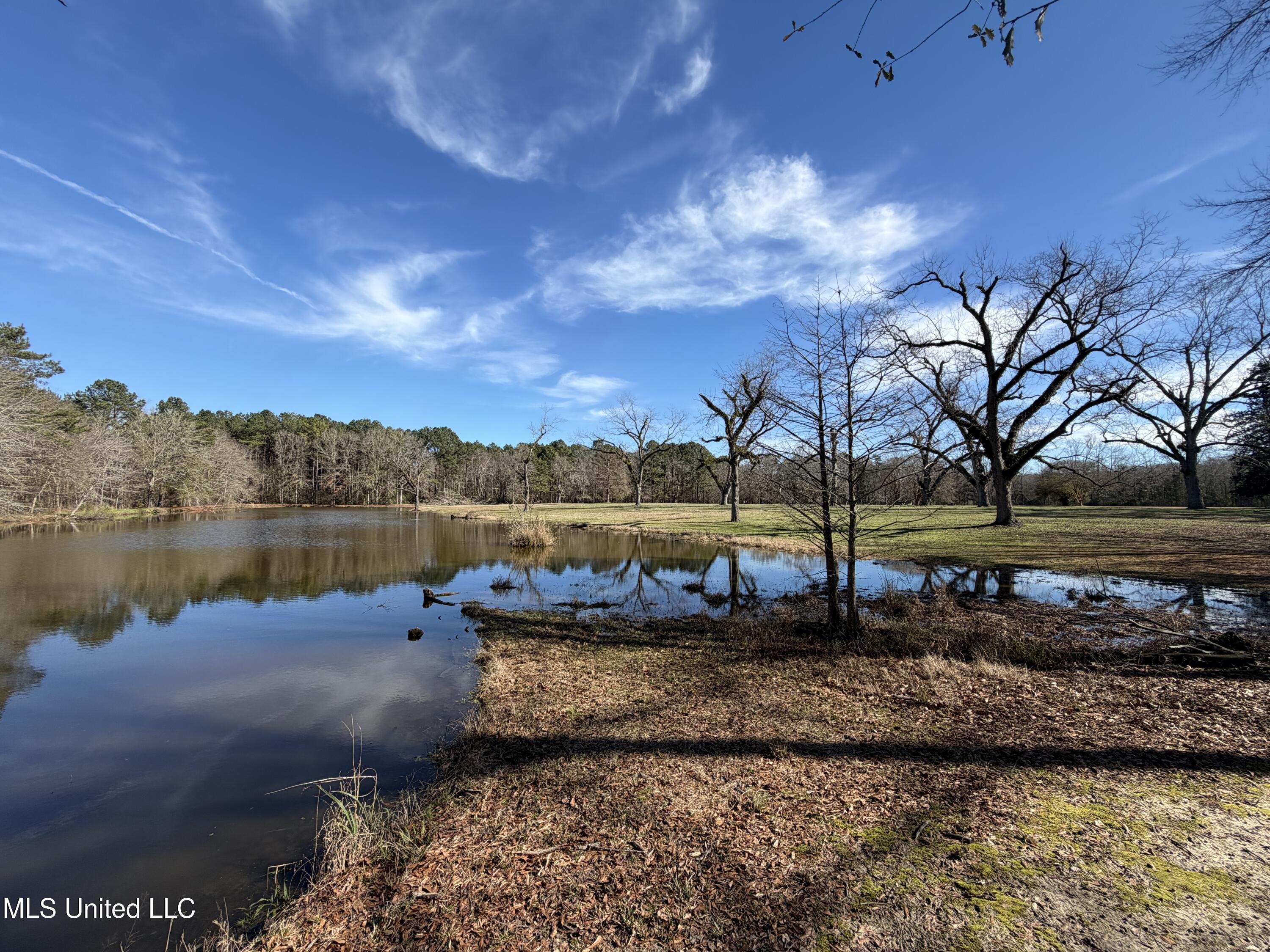 North Front Street Enterprise, MS 39330 - Photo 2 of 22 2 (2)