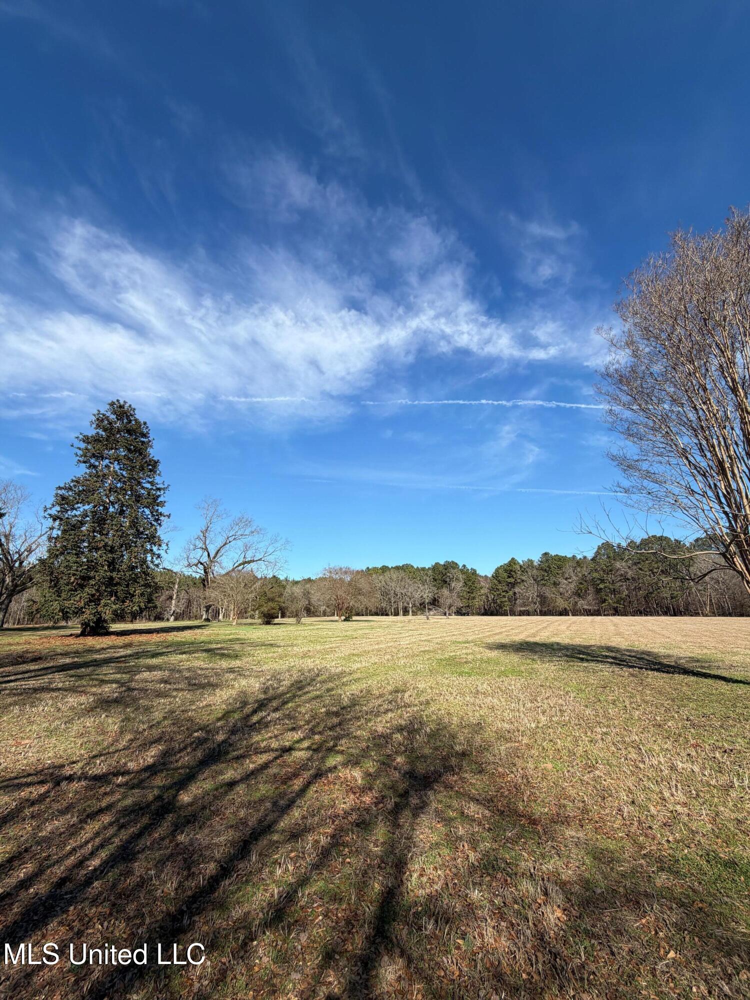 North Front Street Enterprise, MS 39330 - Photo 22 of 22 22