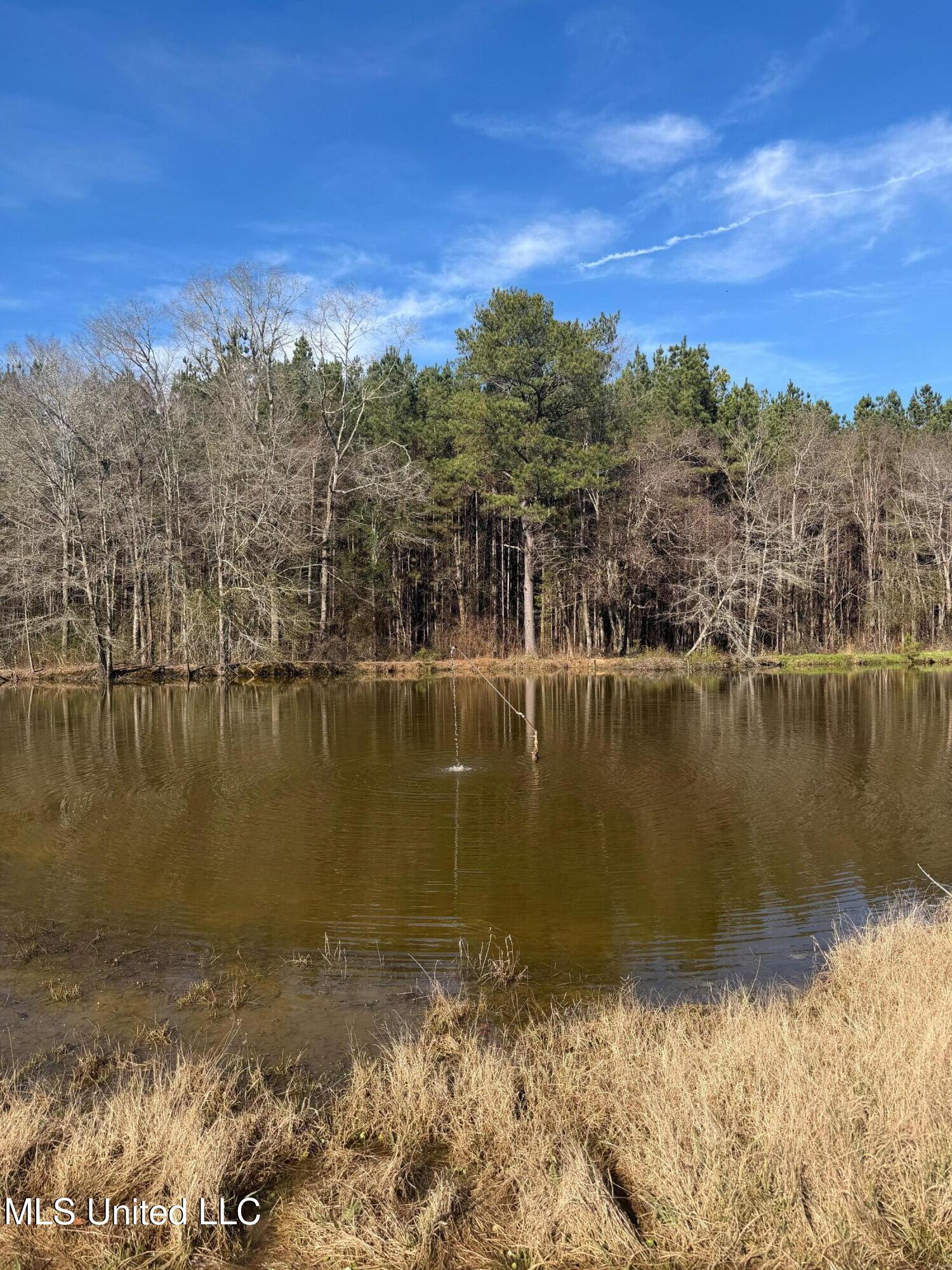 North Front Street Enterprise, MS 39330 - Photo 3 of 22 3 (1)