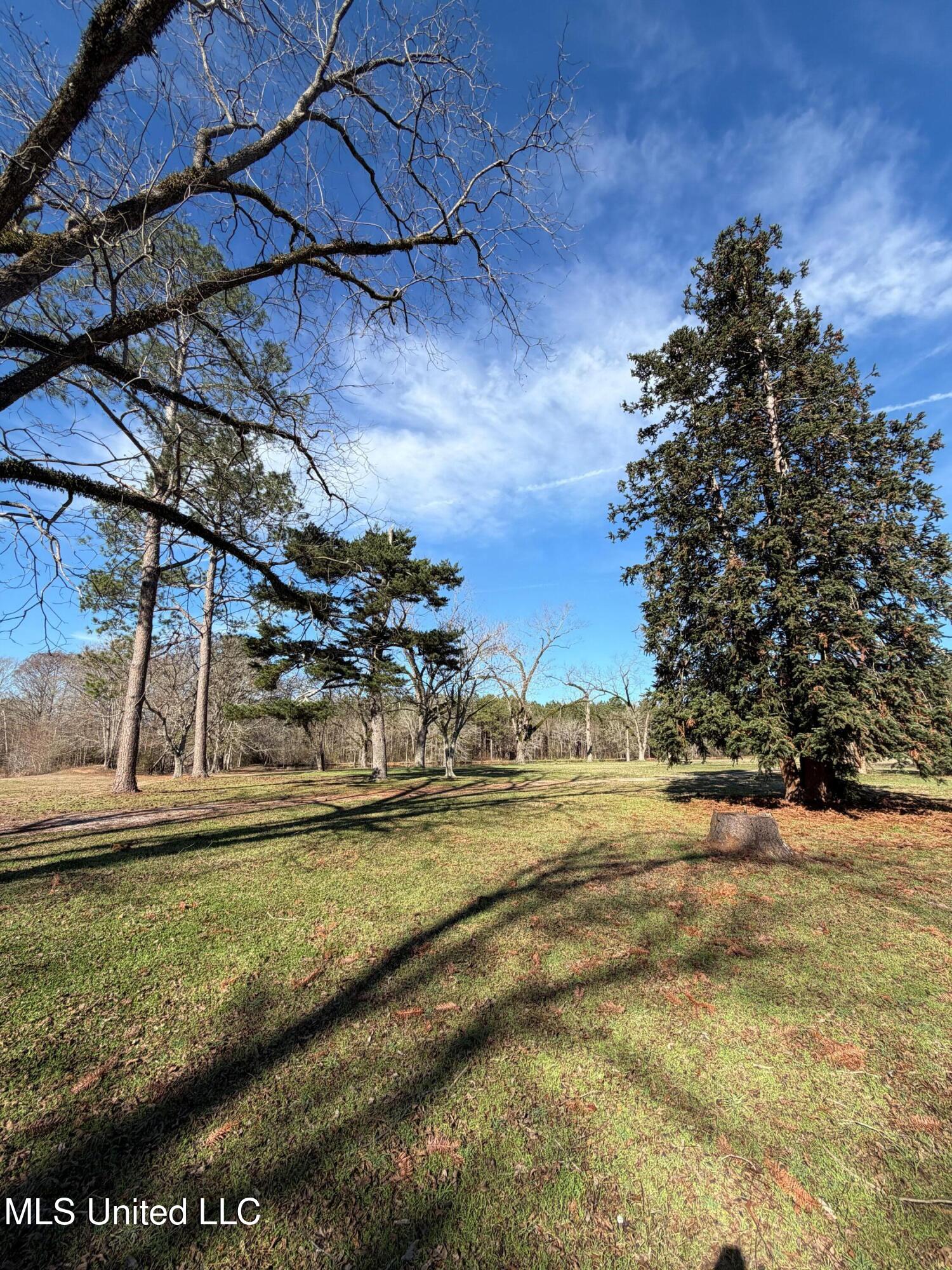 North Front Street Enterprise, MS 39330 - Photo 8 of 22 8 (1)