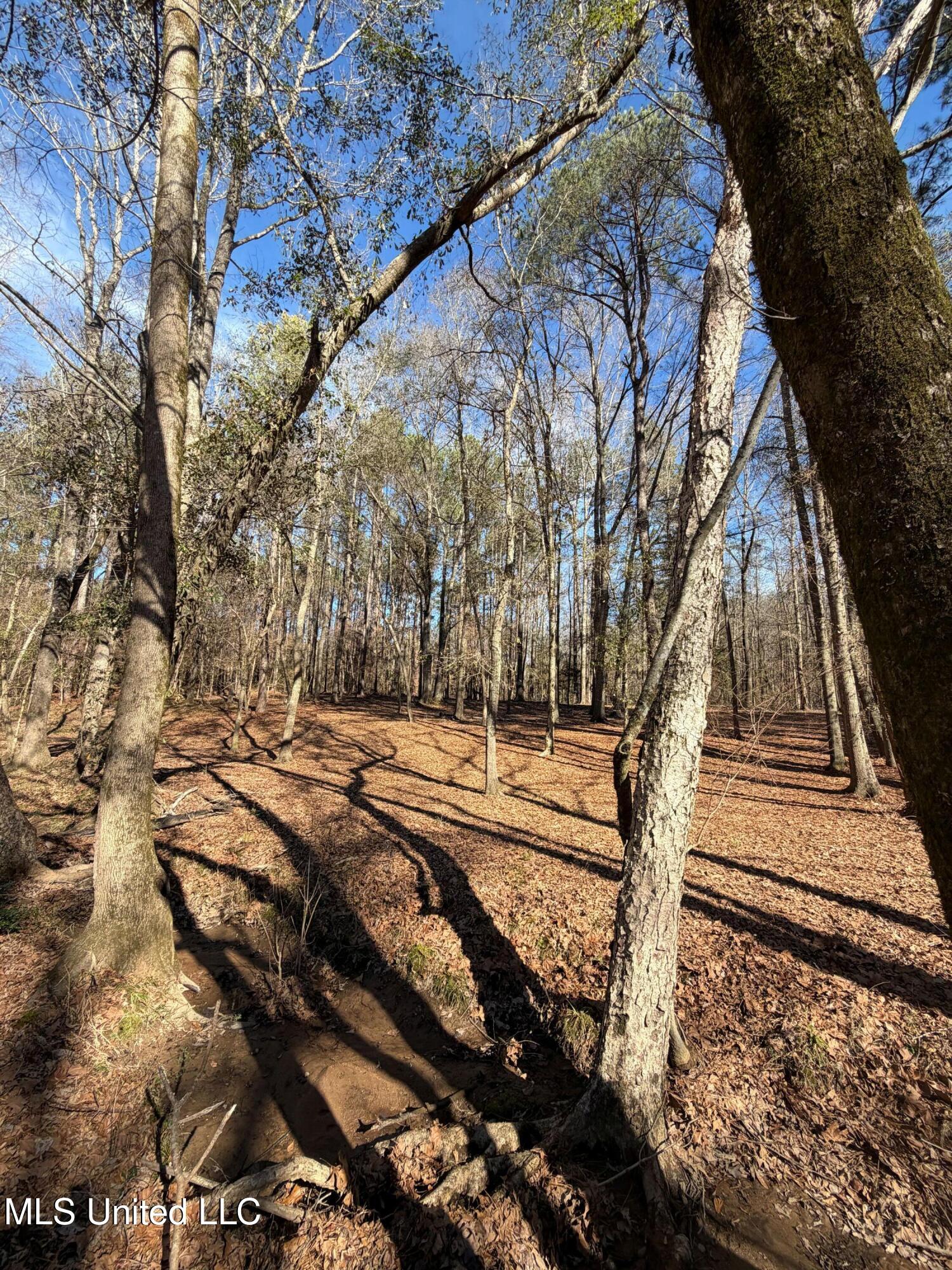 North Front Street Enterprise, MS 39330 - Photo 10 of 22 10 (1)