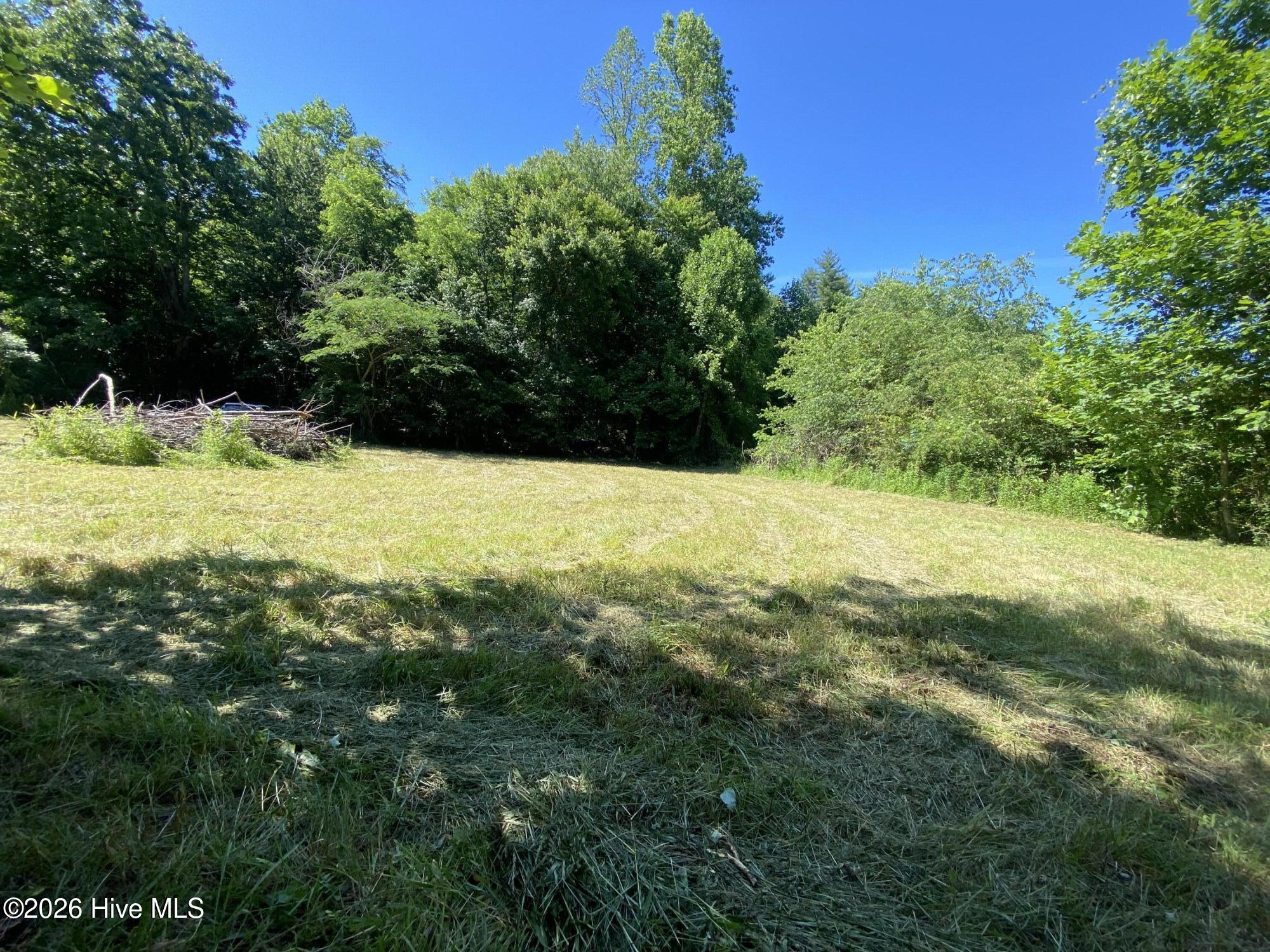 Lot 7 Running Bear Road Murphy, NC 28906 - Photo 12 of 14