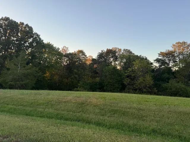 $69,900 | Lot 14 Nyle Ridge Road, Wirtz, VA 24184