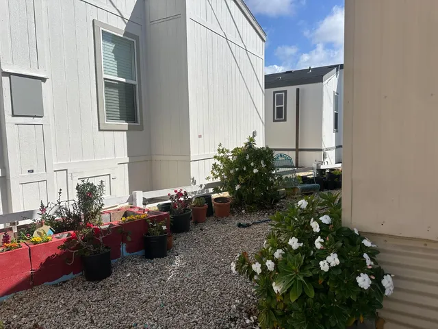 a couple of flower plants in front of house