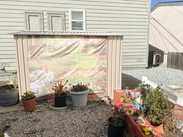 a view of a porch with a potted plant