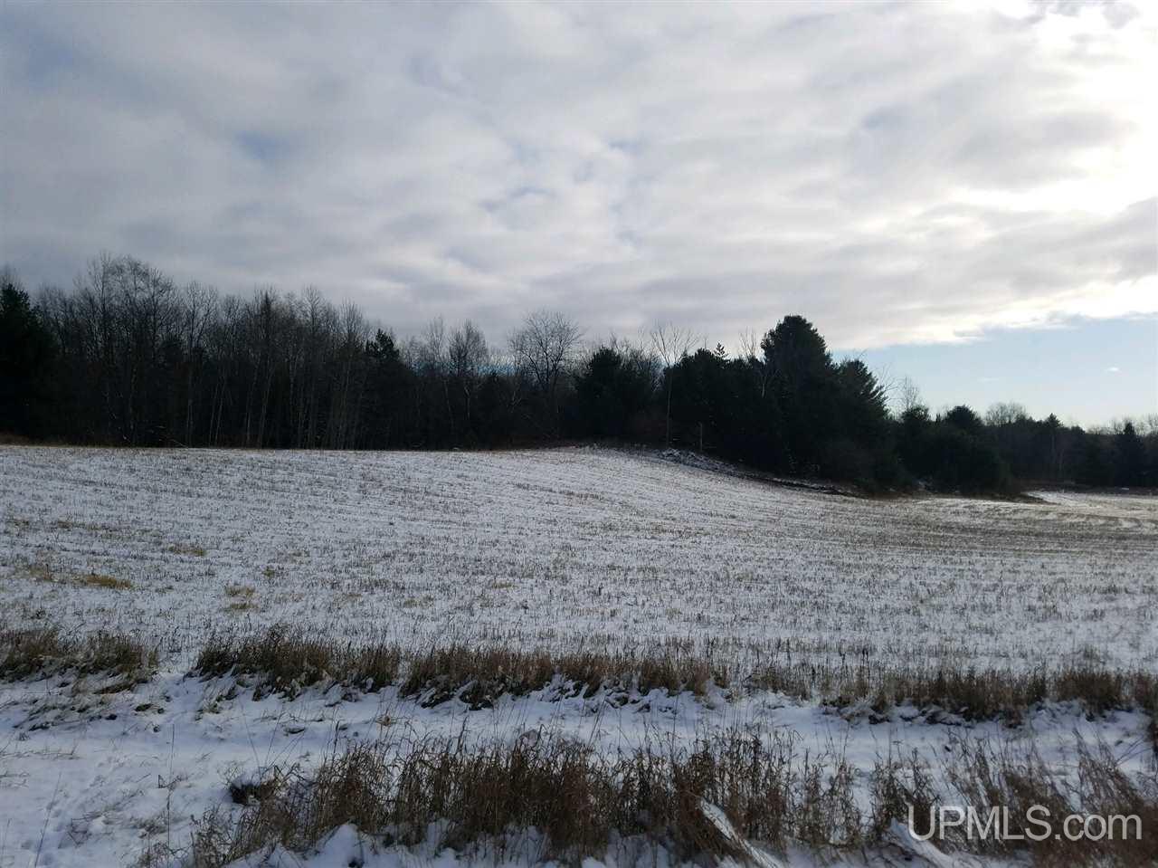 N2810 Valley View Road Norway, MI 49870 - Photo 5 of 24