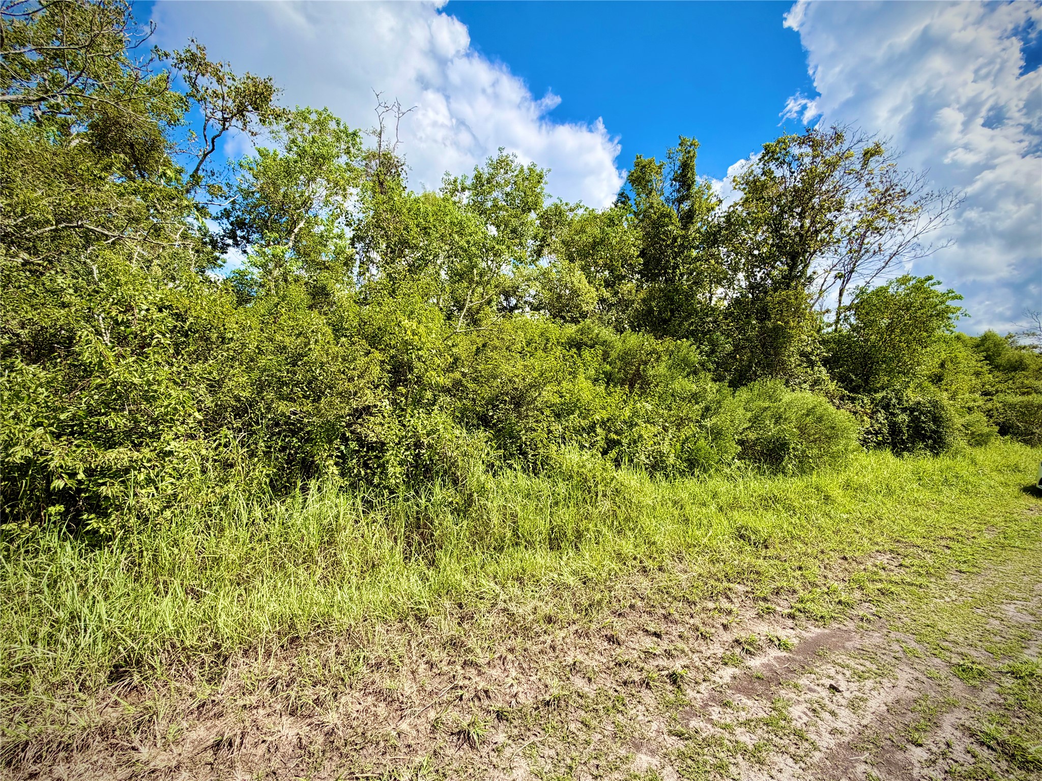 0 County Road 121 Rosharon, TX 77583 - Photo 3 of 11 Gallery Image 3