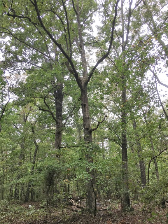 15.63-acres Mountain Road Westminster, SC 29693 - Photo 6 of 12 Gallery Image 6