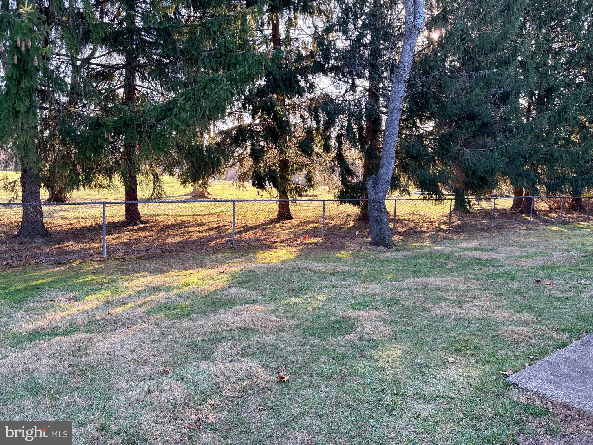 2036 Jason Drive, Unit A Huntingdon Valley, PA 19006 - Photo 10 of 10 a view of a yard with trees