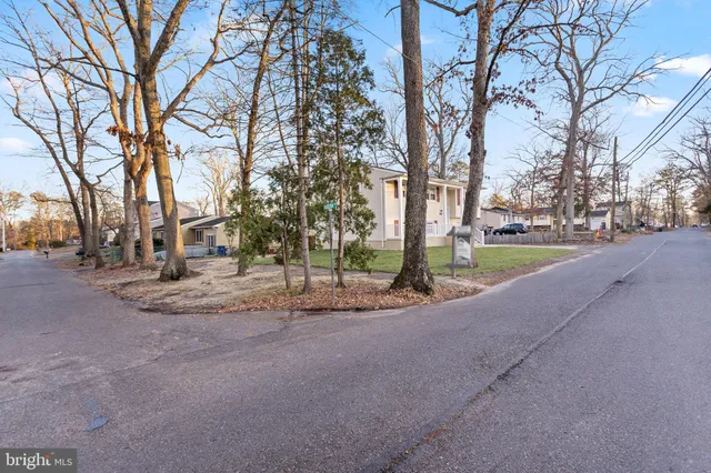 a view of road with large trees