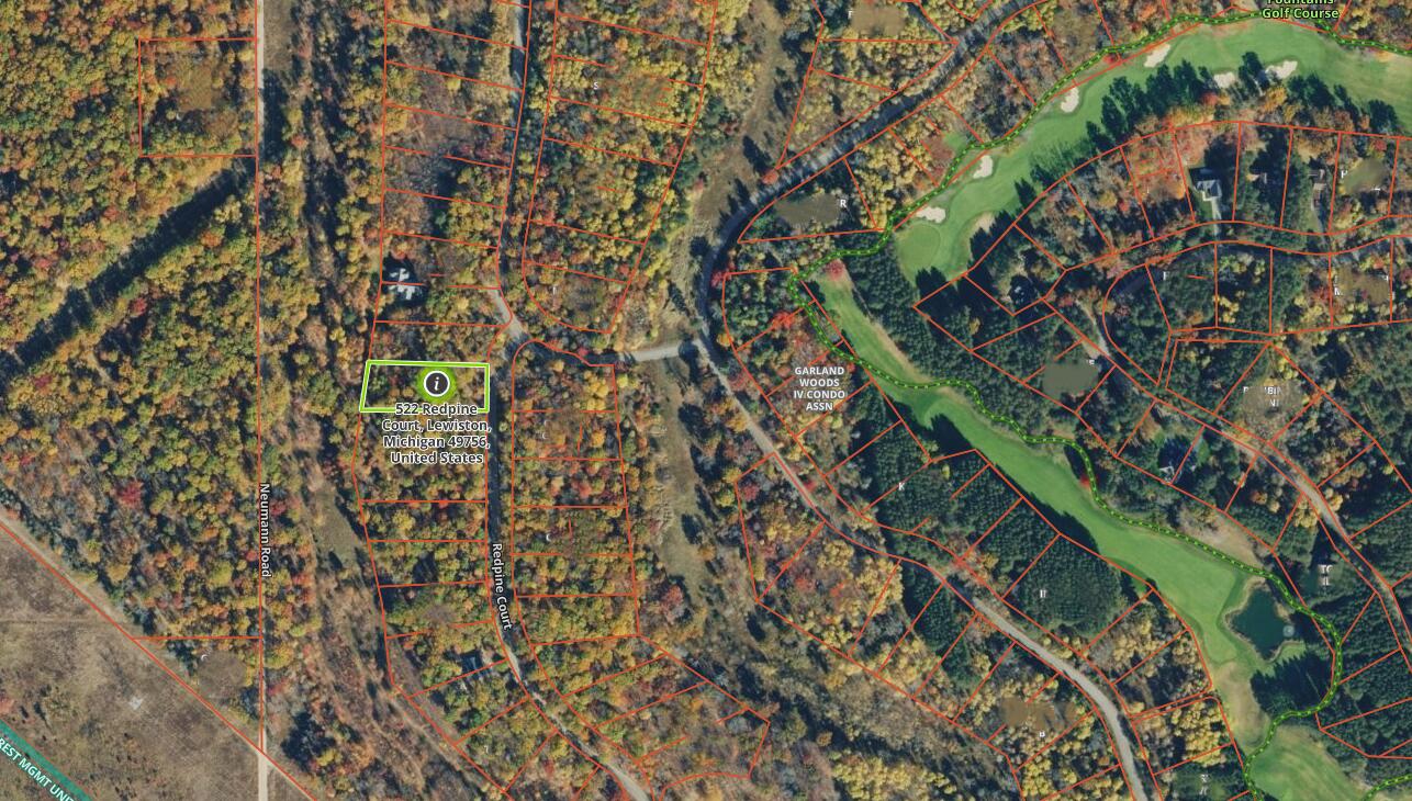 522 Red Pine Road Lewiston, MI 49756 - Photo 9 of 11 Gallery Image 9