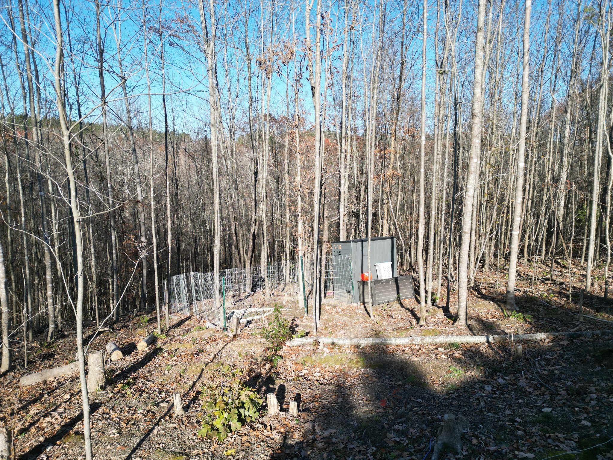 818 Keeton Road Waynesboro, TN 38485 - Photo 10 of 12 Gallery Image 10