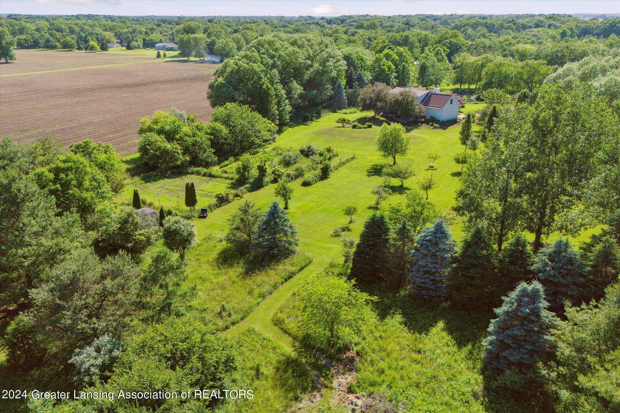 6800 North Maple River Road Elsie, MI 48831 - Photo 59 of 62 64-6800-N-Maple-River-Rd-Elsie-MI-48831-