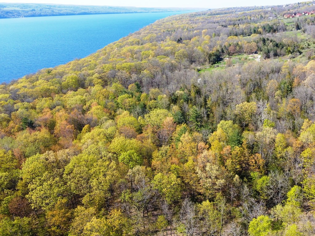 Lot B Lot B Sutphen Road Burdett, NY 14818 - Photo 3 of 4