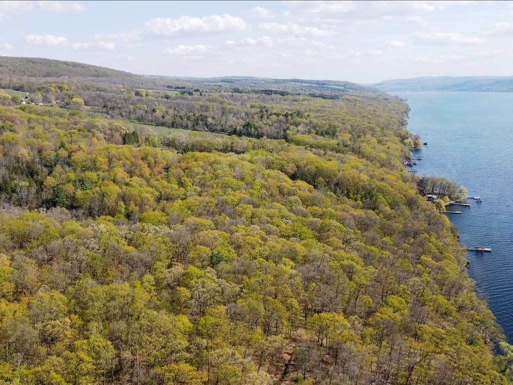 Lot B Lot B Sutphen Road Burdett, NY 14818 - Photo 4 of 4