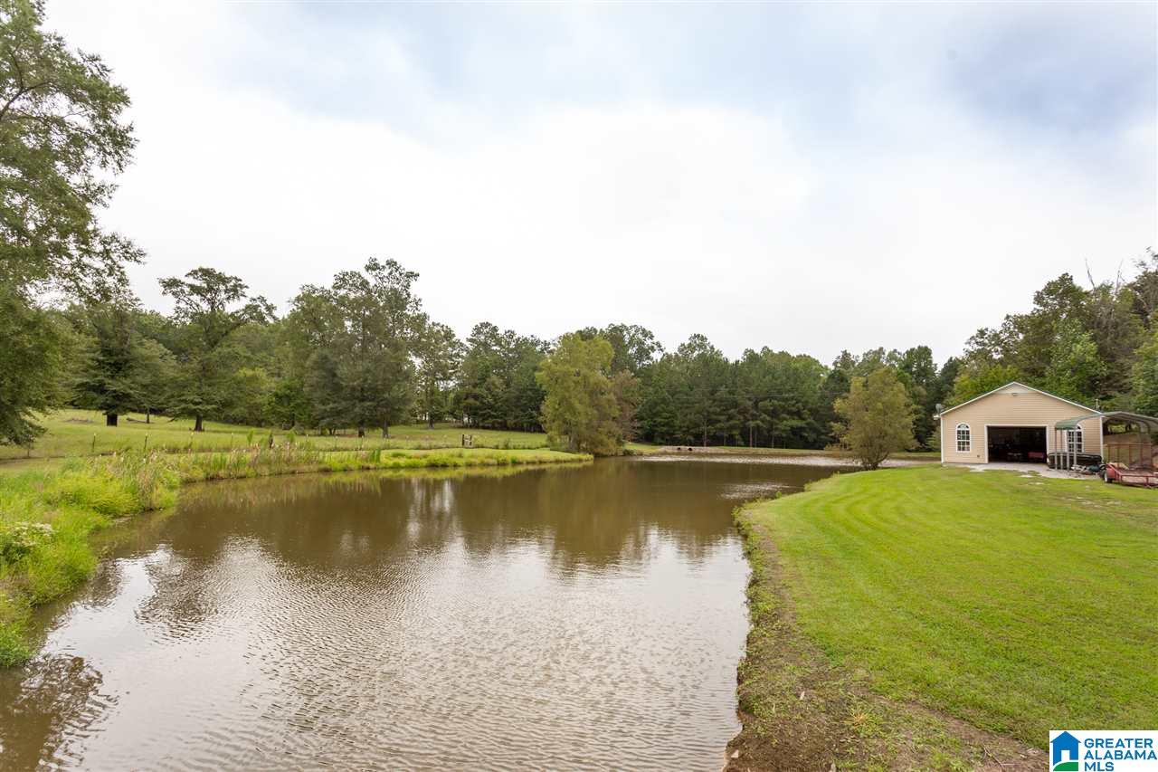 310 Logging Road Ohatchee, AL 36271 - Photo 42 of 50