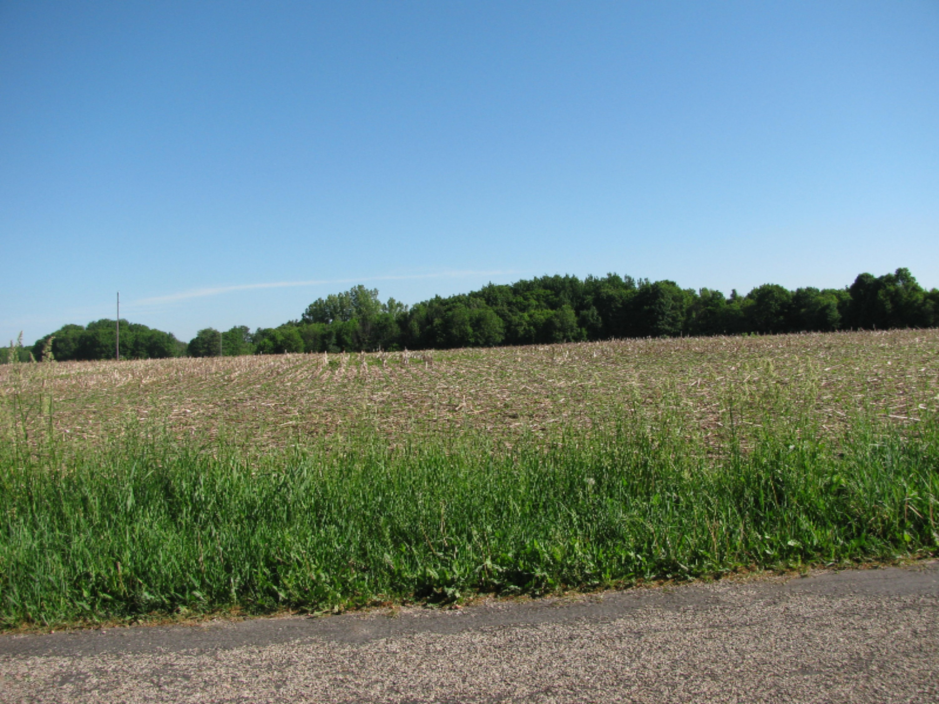 West Hillis Road Trufant, MI 49347 - Photo 1 of 24 IMG_5414