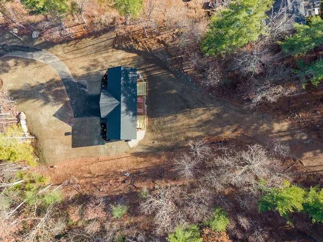 a view of a yard with plants and trees