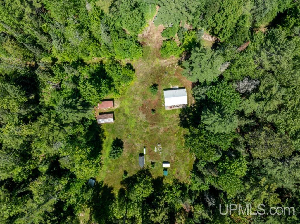 N6415 East Cook's Lake Road Wetmore, MI 49895 - Photo 16 of 20