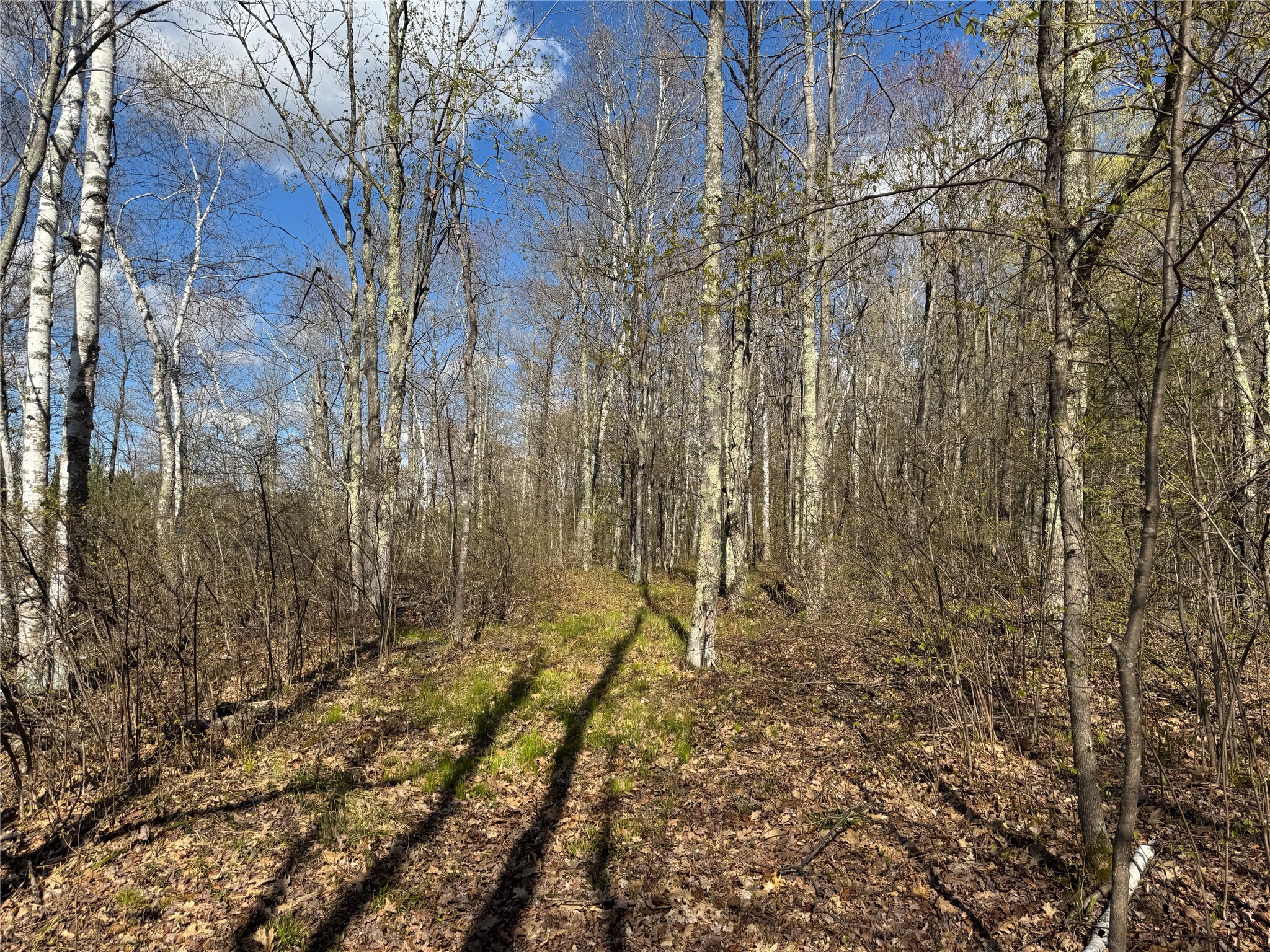 Lot 7 Trapper Trail Hayward, WI 54843 - Photo 34 of 42