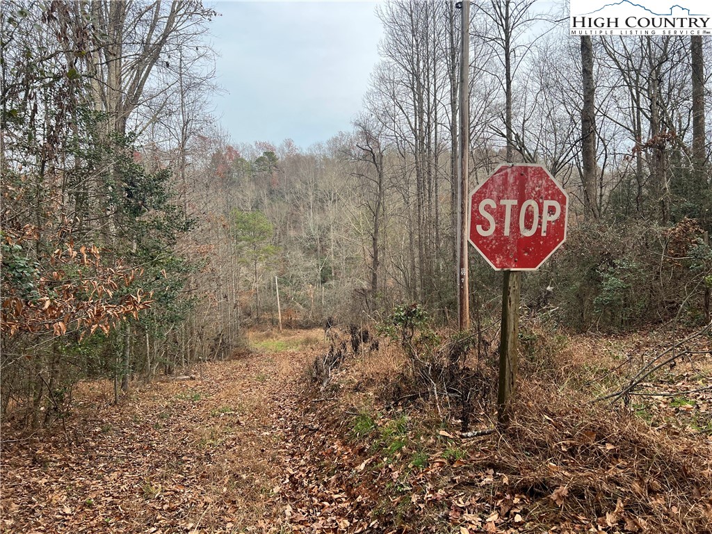 0 Rooley Lane Dobson, NC 27017 - Photo 40 of 47 Gallery Image 40