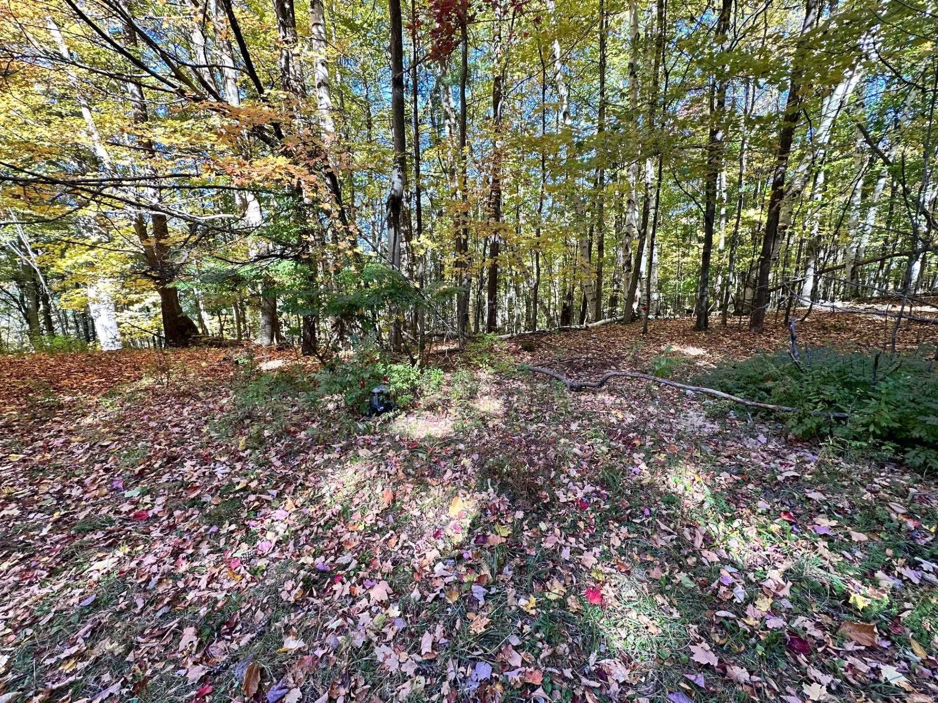 429 Coy Hill Road Middletown Springs, VT 05757 - Photo 32 of 34