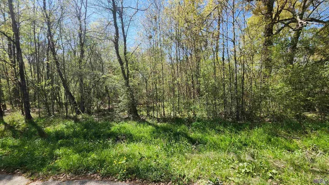 $35,000 | Tbd Sunnybrook Drive, Baton Rouge, LA 70814