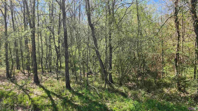 $35,000 | Tbd Sunnybrook Drive, Baton Rouge, LA 70814