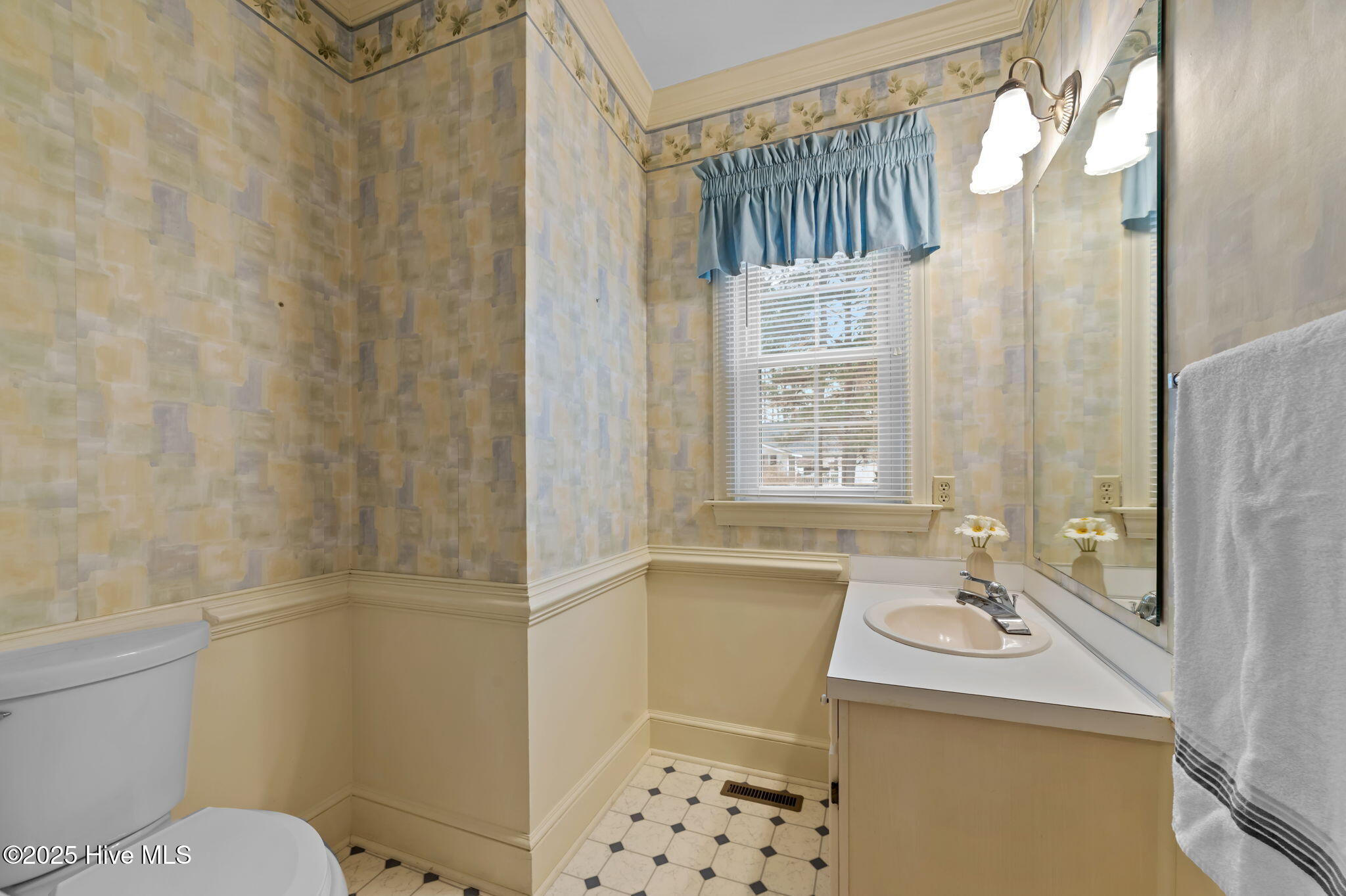 1404 Canterbury Road Tarboro, NC 27886 - Photo 13 of 42 Downstairs Half Bath