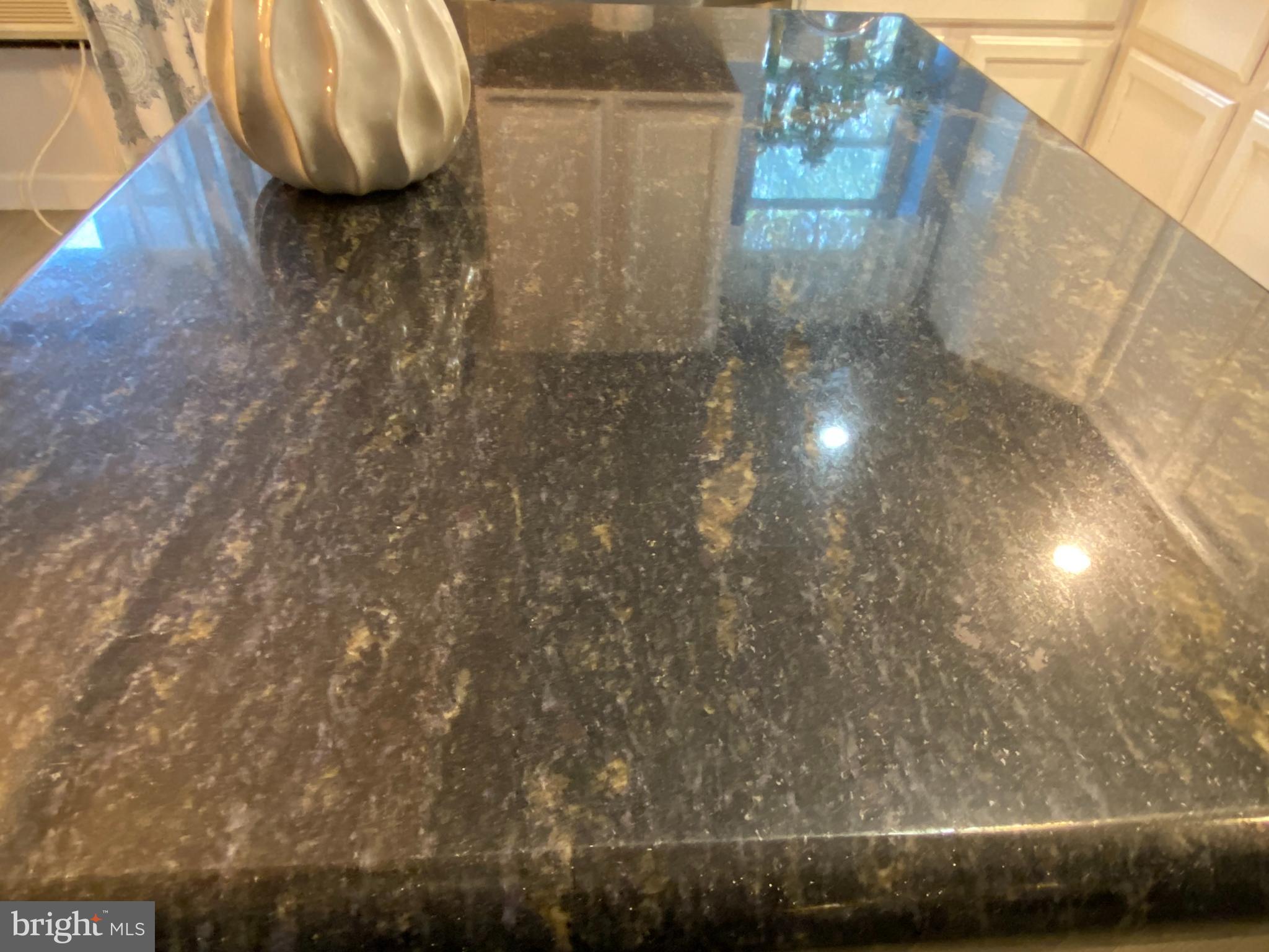 713 Grant Road Folcroft, PA 19032 - Photo 10 of 20 Granite counters