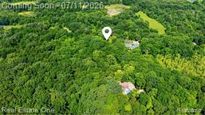 310 South Van Road Holly, MI 48442 - Photo 57 of 67