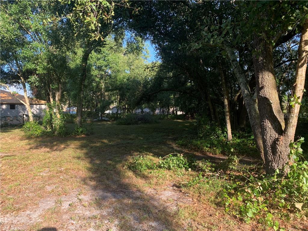 Northeast Hammock Road Arcadia, FL 34266 - Photo 1 of 1 a view of backyard with green space