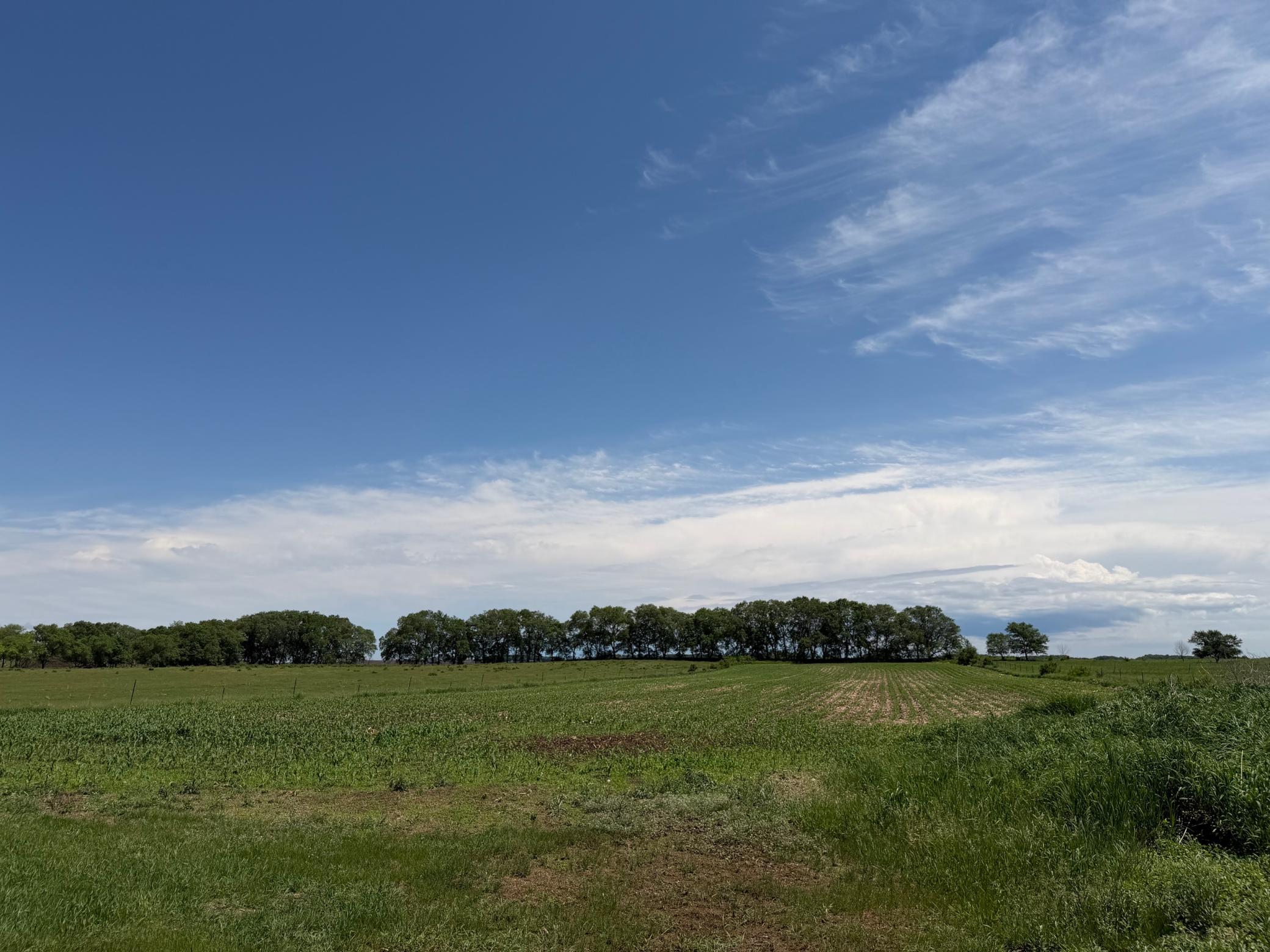17504 231st Avenue Long Prairie, MN 56347 - Photo 26 of 28