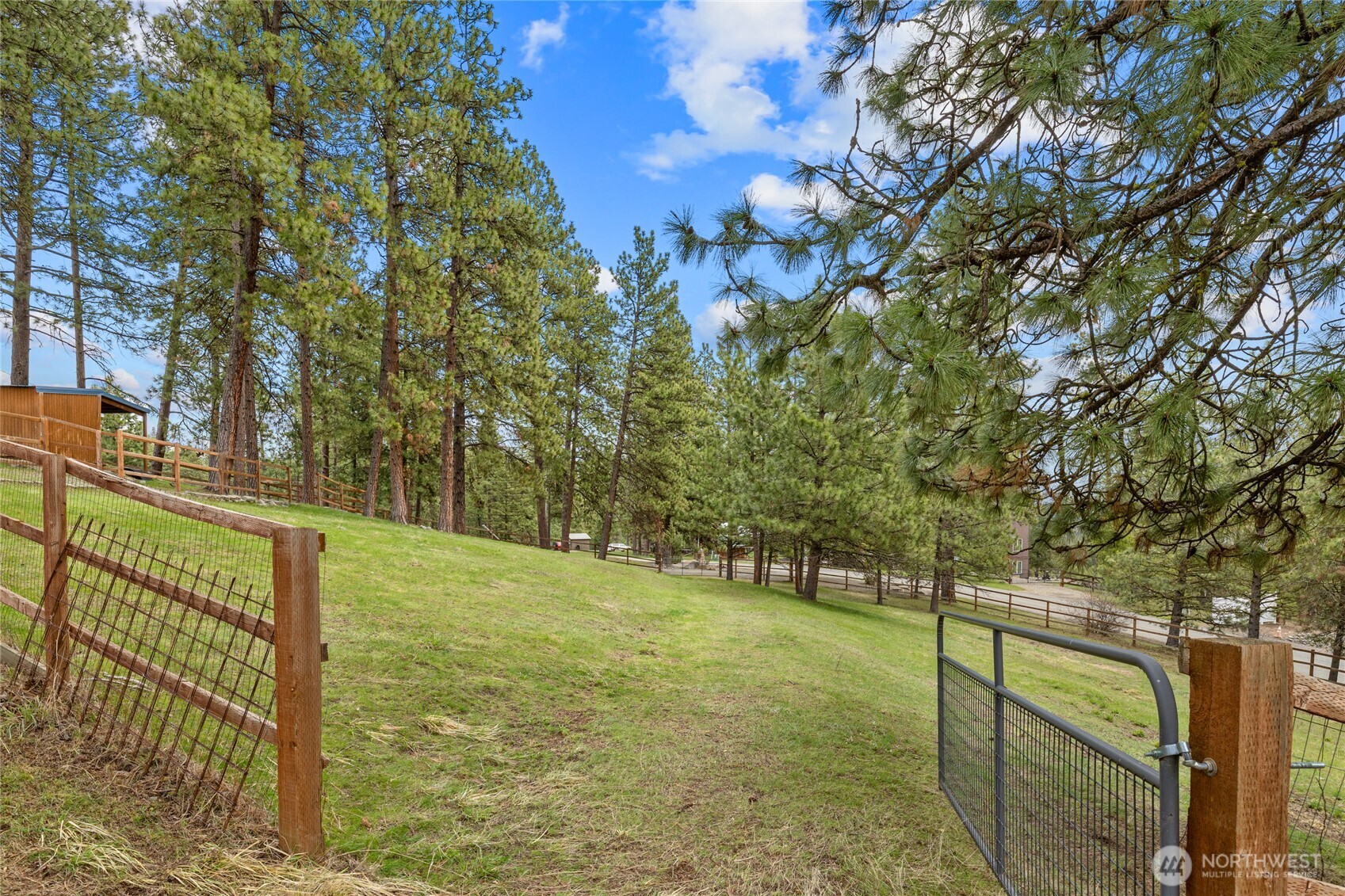 1161 White Road Cle Elum, WA 98922 - Photo 34 of 38 a view of a yard with large trees