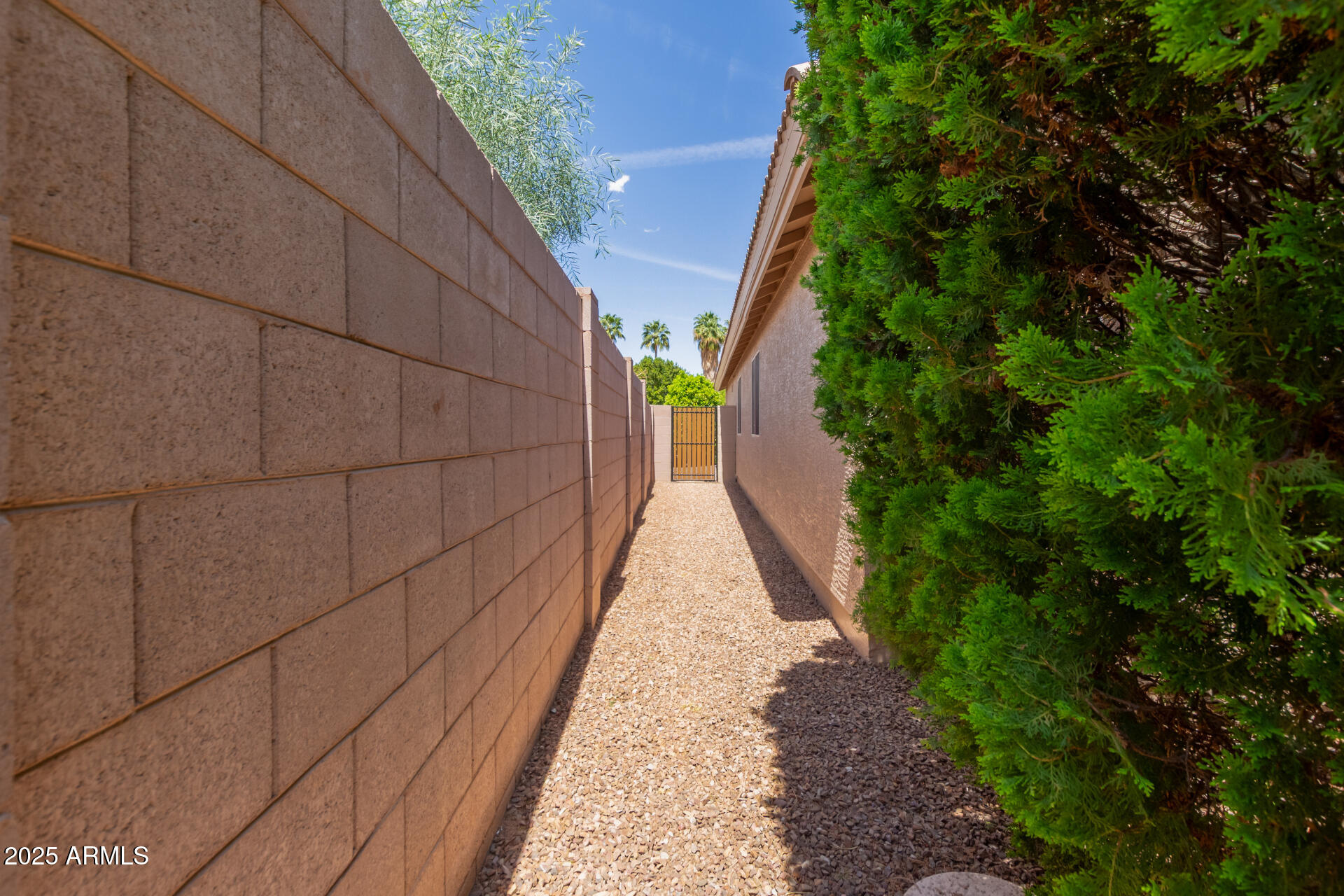 137 West Del Rio Street Gilbert, AZ 85233 - Photo 34 of 42 36 - Del Rio 137