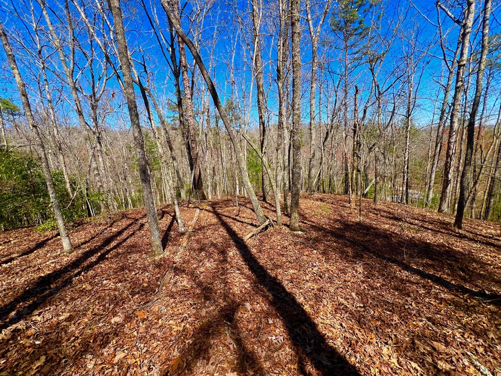12.64-ac Voylestown Road Morganton, GA 30560 - Photo 25 of 33 Gallery Image 25