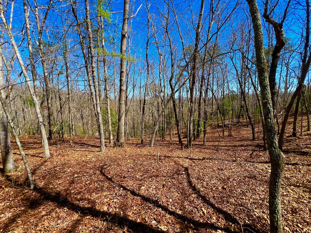 12.64-ac Voylestown Road Morganton, GA 30560 - Photo 4 of 33 Gallery Image 4