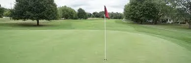 a view of a field with trees