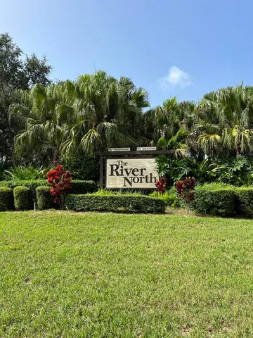 a view of a park that has large trees