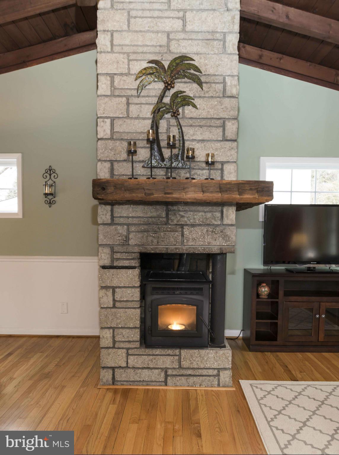 7606 Knollwood Road Towson, MD 21286 - Photo 6 of 30 Pellet Stove