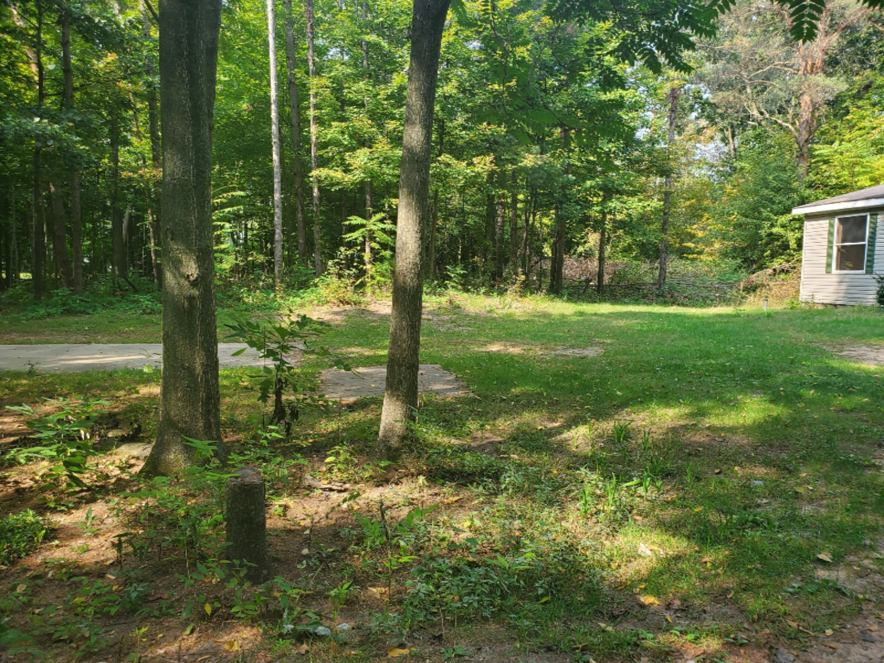 6861 South Boulter Road Plainwell, MI 49080 - Photo 4 of 24 20200923_121100