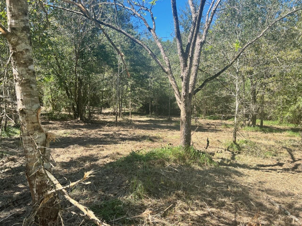 24205 Waterworld Road Robertsdale, AL 36567 - Photo 3 of 4