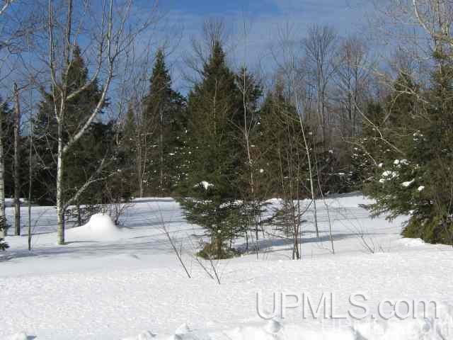 Tbd Calumet Road Ontonagon, MI 49953 - Photo 2 of 4