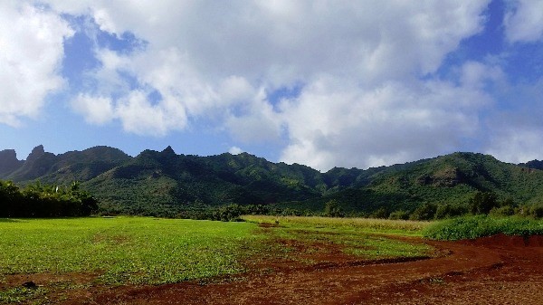 6020 Lot Road, Unit 48 Kilauea, HI 96754 - Photo 2 of 10 Gallery Image 2